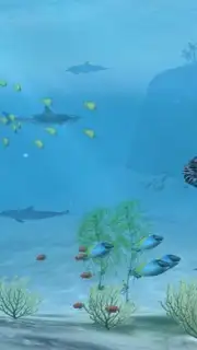 Sharks VR screenshot 2
