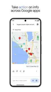 Google Gemini screenshot 10