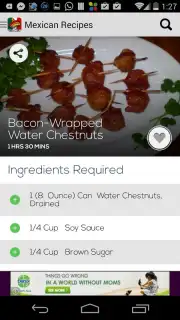 Mexican Recipes screenshot 1