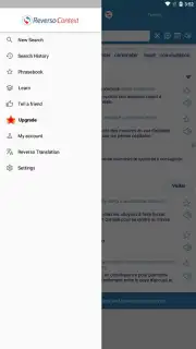 Reverso Translation Dictionary screenshot 8