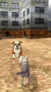 HomelessCat screenshot 1