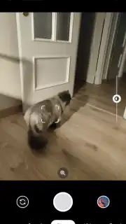 Camera Go screenshot 3