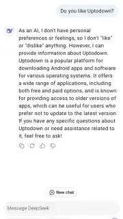DeepSeek screenshot 4