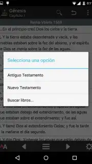 La Santa Biblia screenshot 3