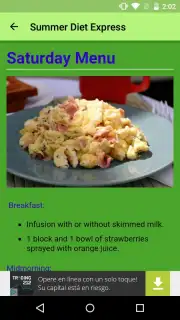 Summer Diet Express screenshot 4