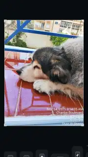 Filmora screenshot 21