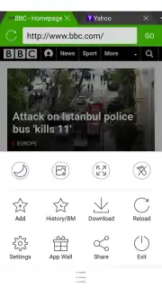 Web Browser screenshot 2