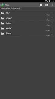 IDM screenshot 4