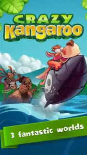 Crazy Kangaroo screenshot 1