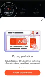 Brave Browser (Beta) screenshot 10