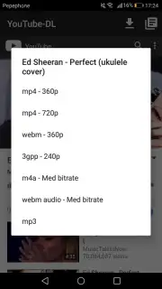 YouTube-DL screenshot 1