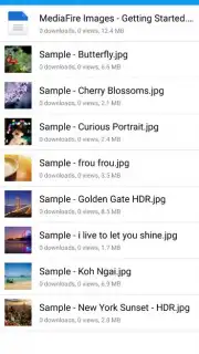 MediaFire screenshot 10
