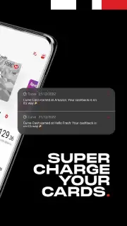 Curve screenshot 8
