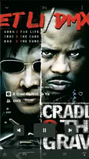 RiMusic screenshot 2