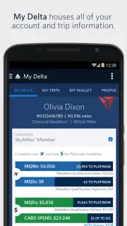 Fly Delta screenshot 6