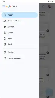 Google Docs screenshot 11