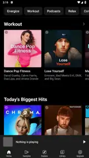 YouTube Music screenshot 14