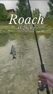 Ultimate Fishing Simulator screenshot 6