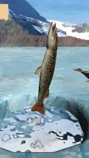 Winter Fishing 3D screenshot 5