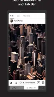 Vivaldi screenshot 15