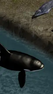 Orca Simulator screenshot 2