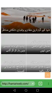 Pak Browser screenshot 1