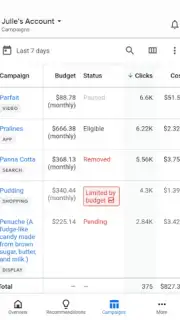 Google Ads screenshot 2