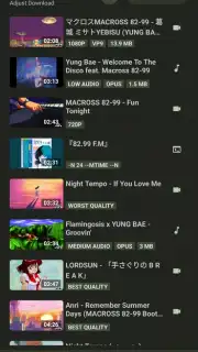 YTDLnis screenshot 5