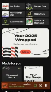 Spotify screenshot 1