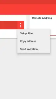 AnyDesk screenshot 1