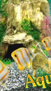 AquaLife 3D screenshot 4