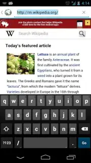 Orweb: Private Web Browser screenshot 2
