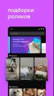 VK Clips screenshot 8