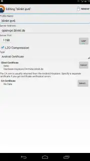 OpenVPN screenshot 11