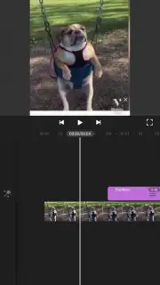 Motion Ninja screenshot 4