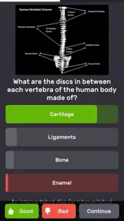QuizzLand screenshot 5