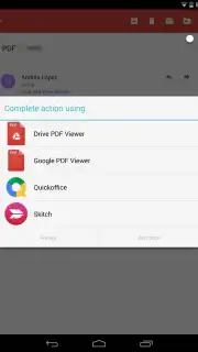 Google PDF Viewer screenshot 1