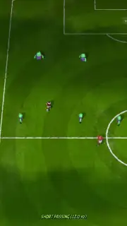 Angry Birds Goal! screenshot 10