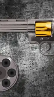 Best Russian Roulette screenshot 8