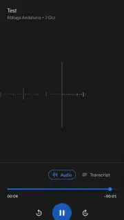 Google Recorder screenshot 2
