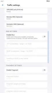 v2RayTun screenshot 14