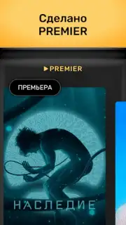 PREMIER screenshot 13
