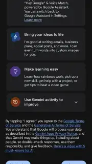 Google Gemini screenshot 3