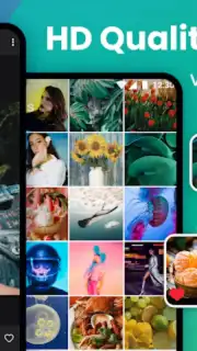 Gallery screenshot 9