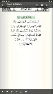 Quran Android screenshot 3