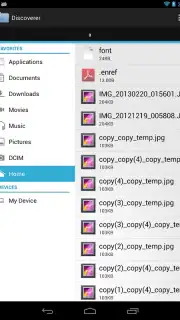 Discoverer screenshot 2
