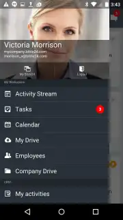 Bitrix24 screenshot 7