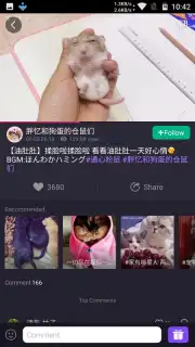 Meipai screenshot 12
