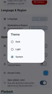 Spotube screenshot 10