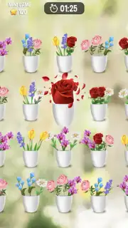 Zen Blossom screenshot 16